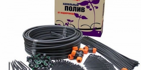 Navodnjavanje kap po kap buba